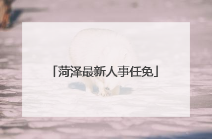 菏泽最新人事任免