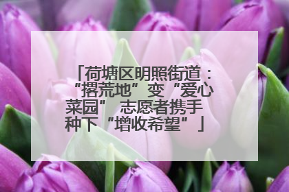 荷塘区明照街道：“撂荒地”变“爱心菜园” 志愿者携手种下“增收希望”