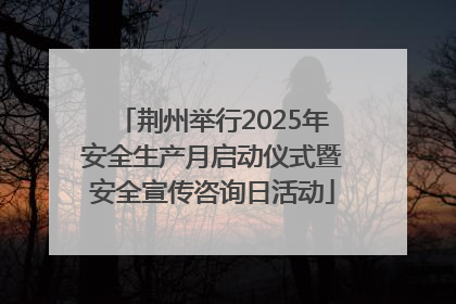 荆州举行2025年安全生产月启动仪式暨安全宣传咨询日活动