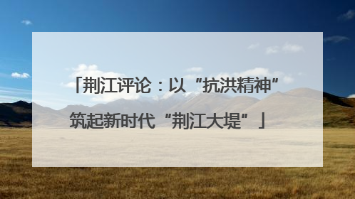 荆江评论：以“抗洪精神”筑起新时代“荆江大堤”