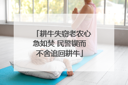 耕牛失窃老农心急如焚 民警锲而不舍追回耕牛