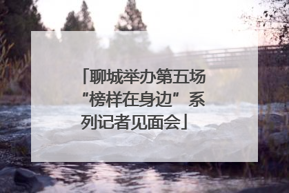 聊城举办第五场“榜样在身边”系列记者见面会