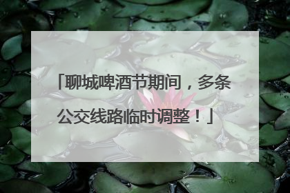 聊城啤酒节期间，多条公交线路临时调整！