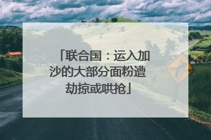 联合国：运入加沙的大部分面粉遭劫掠或哄抢