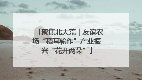 聚焦北大荒｜友谊农场“稻耳轮作”产业振兴“花开两朵”