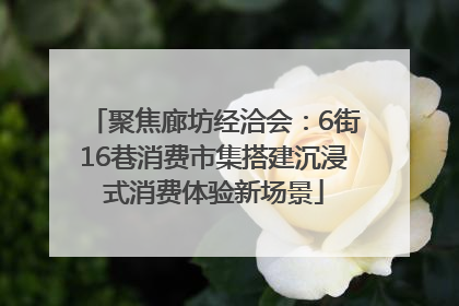 聚焦廊坊经洽会：6街16巷消费市集搭建沉浸式消费体验新场景