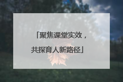 聚焦课堂实效，共探育人新路径