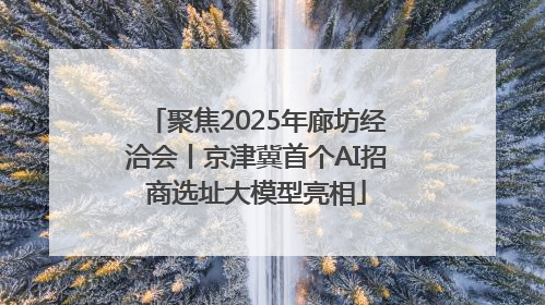 聚焦2025年廊坊经洽会丨京津冀首个AI招商选址大模型亮相