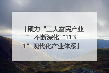聚力“三大富民产业” 不断深化“1131”现代化产业体系