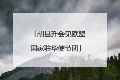 胡昌升会见欧盟国家驻华使节团