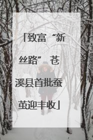 致富“新丝路” 苍溪县首批蚕茧迎丰收
