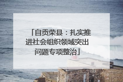 自贡荣县：扎实推进社会组织领域突出问题专项整治