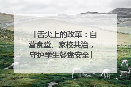 舌尖上的改革：自营食堂、家校共治，守护学生餐盘安全