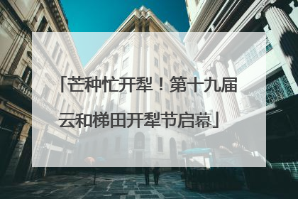 芒种忙开犁！第十九届云和梯田开犁节启幕