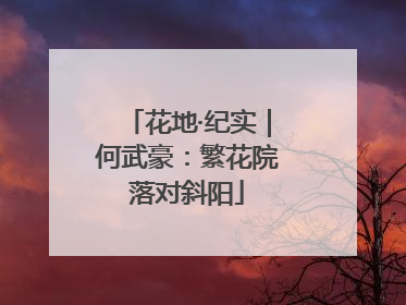 花地·纪实｜何武豪：繁花院落对斜阳