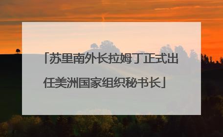 苏里南外长拉姆丁正式出任美洲国家组织秘书长