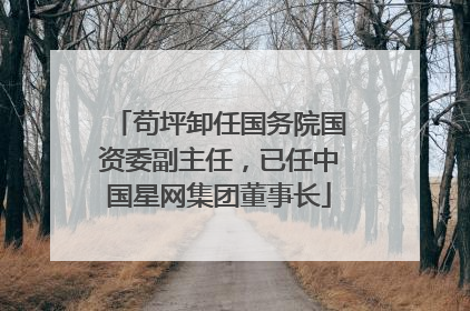 苟坪卸任国务院国资委副主任，已任中国星网集团董事长