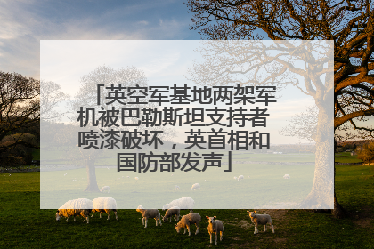 英空军基地两架军机被巴勒斯坦支持者喷漆破坏，英首相和国防部发声
