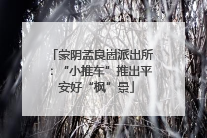 蒙阴孟良崮派出所：“小推车”推出平安好“枫”景