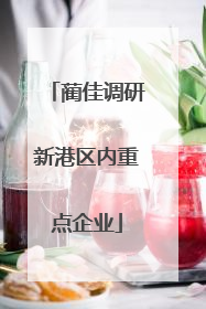 蔺佳调研新港区内重点企业