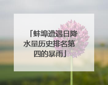 蚌埠遭遇日降水量历史排名第四的暴雨