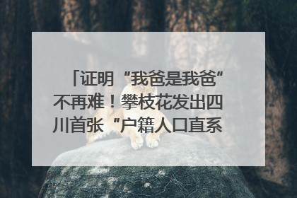 证明“我爸是我爸”不再难！攀枝花发出四川首张“户籍人口直系亲属关系谱”