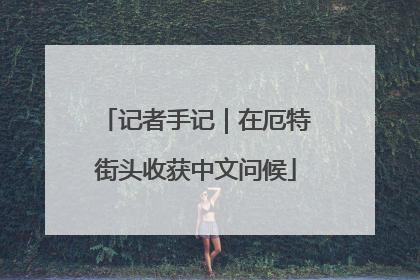 记者手记｜在厄特街头收获中文问候