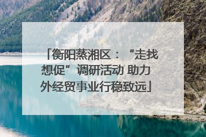 衡阳蒸湘区：“走找想促”调研活动 助力外经贸事业行稳致远