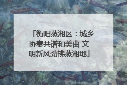 衡阳蒸湘区：城乡协奏共谱和美曲 文明新风劲拂蒸湘地