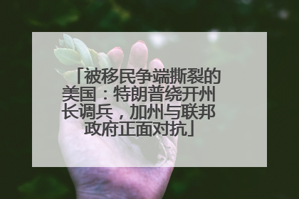 被移民争端撕裂的美国：特朗普绕开州长调兵，加州与联邦政府正面对抗