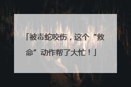 被毒蛇咬伤，这个“救命”动作帮了大忙！