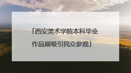 西安美术学院本科毕业作品展吸引民众参观