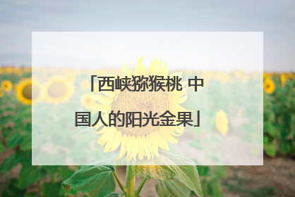 西峡猕猴桃 中国人的阳光金果