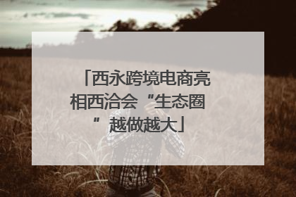 西永跨境电商亮相西洽会“生态圈”越做越大