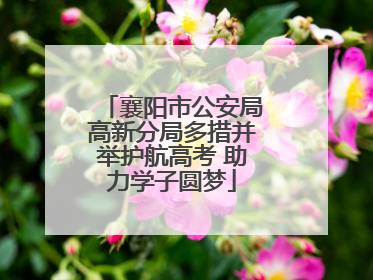 襄阳市公安局高新分局多措并举护航高考 助力学子圆梦