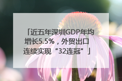 近五年深圳GDP年均增长5.5%，外贸出口连续实现“32连冠”