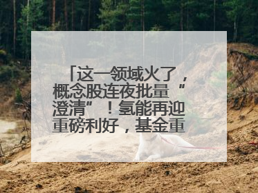 这一领域火了，概念股连夜批量“澄清”！氢能再迎重磅利好，基金重仓股出炉