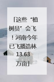 这些“植树员”会飞！河南今年已飞播造林13.63万亩