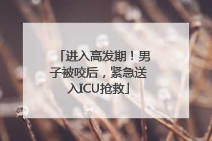 进入高发期！男子被咬后，紧急送入ICU抢救