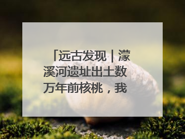 远古发现｜濛溪河遗址出土数万年前核桃，我国先民食用核桃历史大幅提前