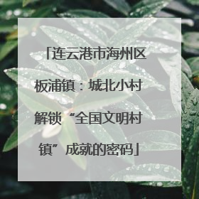 连云港市海州区板浦镇：城北小村解锁“全国文明村镇”成就的密码
