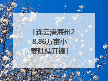 连云港海州28.86万亩小麦陆续开镰
