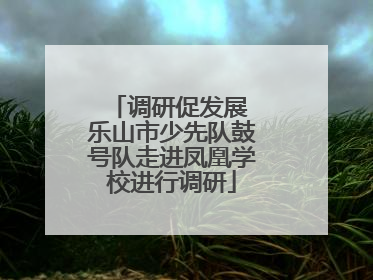调研促发展 乐山市少先队鼓号队走进凤凰学校进行调研