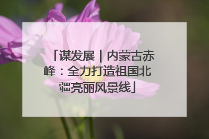 谋发展｜内蒙古赤峰：全力打造祖国北疆亮丽风景线