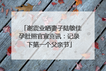 谢震业晒妻子陆敏佳孕肚照官宣喜讯：记录下第一个父亲节
