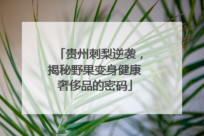 贵州刺梨逆袭，揭秘野果变身健康奢侈品的密码