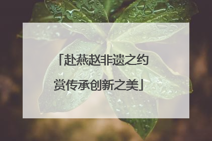 赴燕赵非遗之约 赏传承创新之美