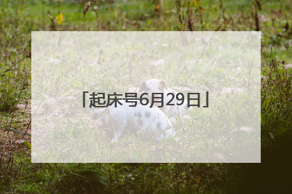 起床号6月29日