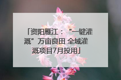 资阳雁江：“一键灌溉”万亩良田 全域灌溉项目7月投用