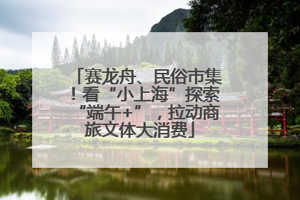 赛龙舟、民俗市集！看“小上海”探索“端午+”，拉动商旅文体大消费